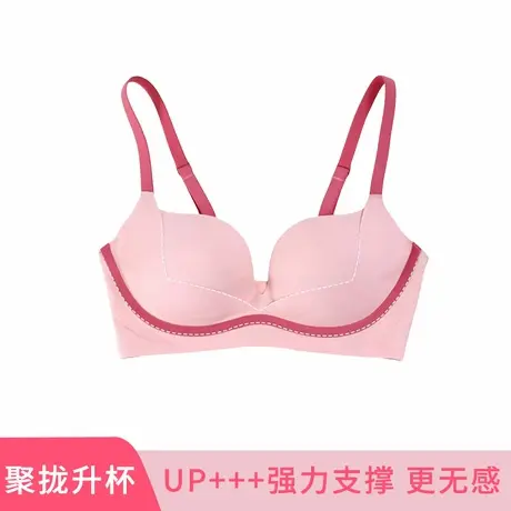 Vineco/维妮芳无痕提拉内衣小胸聚拢收副乳防下垂显大文胸308商品大图
