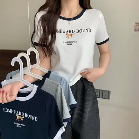 短袖T恤女早春夏装2023年新款修身显瘦复古chic港味短款半袖上衣商品大图