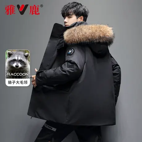 雅鹿2024年新款羽绒服男短款貉子大毛领潮流帅气连帽时尚冬季外套商品大图