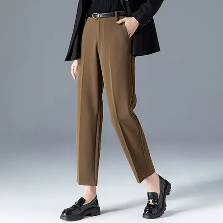 小个子直筒西装裤女2023春季新款春秋女裤宽松休闲裤九分哈伦裤商品大图