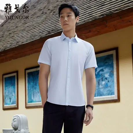 【条纹DP免烫】D系雅戈尔衬衫夏季商务120支纯棉装衬短袖衬衫男商品大图