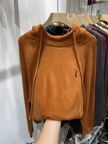 欧货连帽系带刺绣双面德绒加厚卫衣女2023秋冬新款宽松减龄上衣潮图片