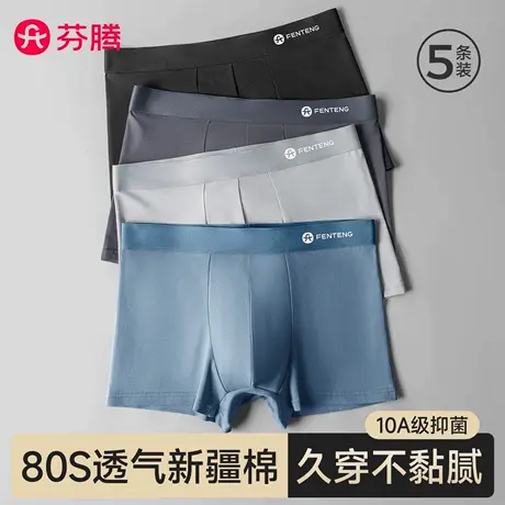 芬腾男士内裤男生纯棉四角短裤2025新款夏季透气抗菌男式平角短裤商品大图