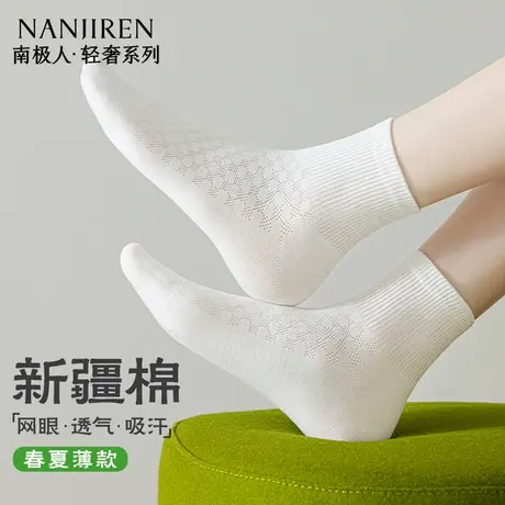 南极人女士短筒袜夏季薄款纯棉短袜防臭吸汗网眼透气纯色无骨袜商品大图