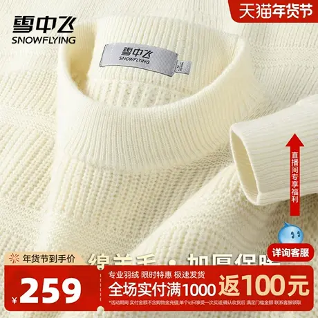 雪中飞【100%绵羊毛 加厚温暖】纯色半高领毛衣男秋冬内搭上衣W图片