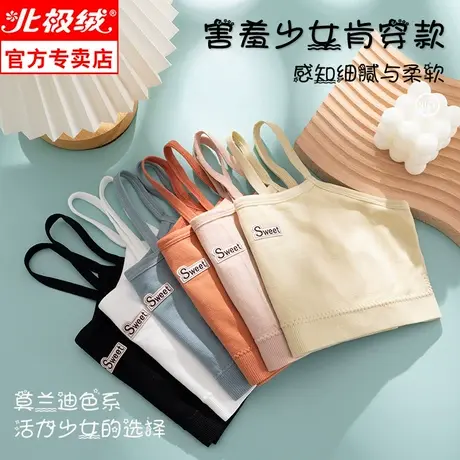 美背内衣女薄款裹胸抹胸吊带背心聚拢文胸无缝纯色少女法式无钢圈商品大图