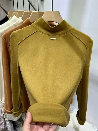 双面羊绒加厚T恤半高领针织上衣冬季保暖女士打底衫2022新款洋气商品大图