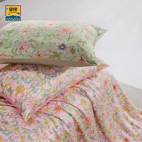 爱慕皇锦含桑蚕丝印花枕套-粉彩HJ11889商品大图