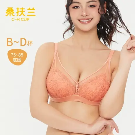 桑扶兰内衣女法式蕾丝性感大胸显小薄款防凸点显瘦聚拢防下垂文胸商品大图