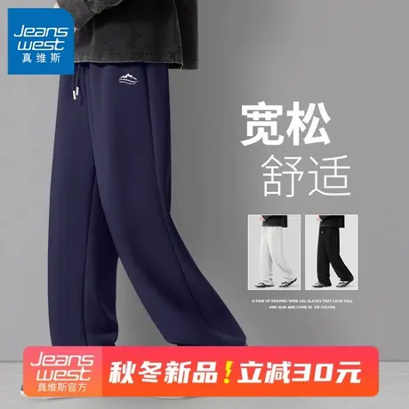 GV真维斯男款裤子秋季2025慵懒松弛感直筒裤男生潮流百搭休闲裤D商品大图