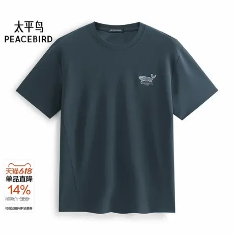 【商场同款】太平鸟男装 休闲T恤重磅刺绣男士休闲T恤潮B1CNF2619图片