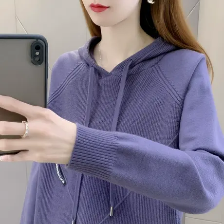 2023年春秋新款宽松薄款连帽毛衣外套春秋慵懒风洋气卫衣帽衫上衣图片