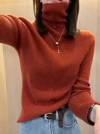 高级感纯色高领内搭毛衣女2023秋冬新款设计感修身显瘦针织打底衫商品大图