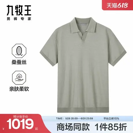[商场同款]九牧王男装2025夏新款柔软百搭男款短袖POLO衫JT2E160商品大图