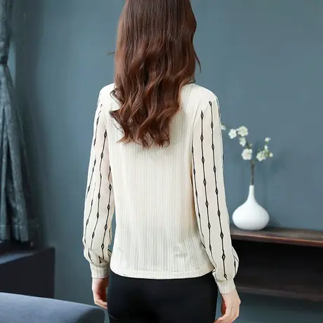 t恤秋季上衣新款2023漂亮别致雪纺网纱打底衫女长袖早秋洋气小衫商品大图