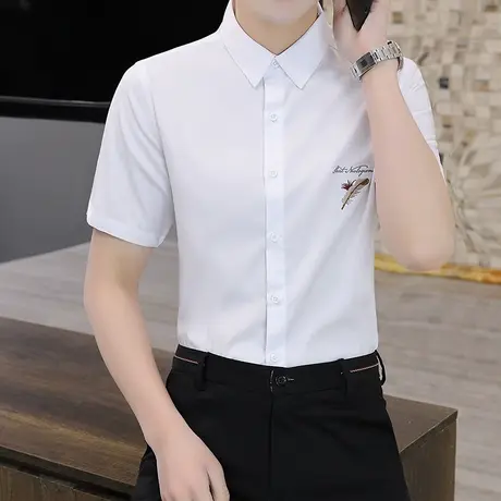 夏季短袖纯色衬衫男薄款韩版修身休闲绣花衬衣青年商务半袖寸衫男商品大图