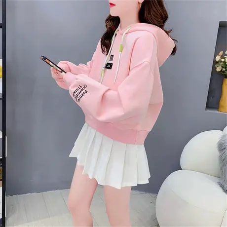 连帽卫衣女2023年新款秋季设计感小个子字母刺绣时尚洋气短款上衣商品大图