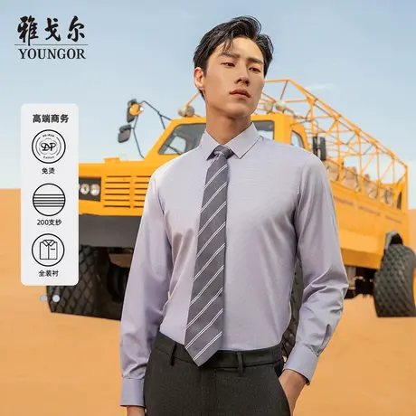 【200支纱DP装衬】TP系雅戈尔衬衫秋季商务免烫易打理长袖衬衫商品大图