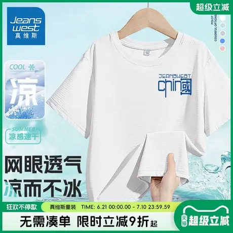 真维斯童装男童夏季短袖t恤儿童户外冰丝运动半袖男大童网眼体恤图片