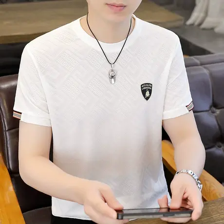 冰丝圆领短袖t恤男士男款透气薄款半袖上衣运动夏季休闲百搭体恤商品大图