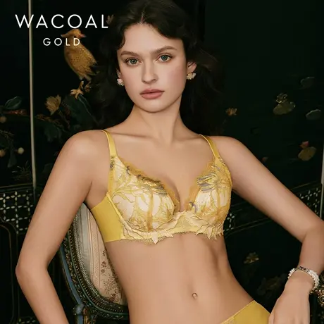 华歌尔Wacoal 金标蕾丝舒适软钢圈缝制杯文胸内衣女 WB33E5商品大图