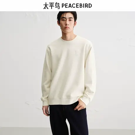 太平鸟男装 休闲卫衣2025秋季重磅刺绣圆领宽松卫衣男士卫衣商品大图