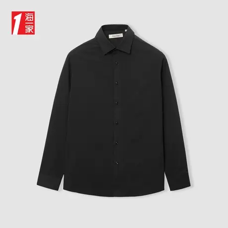 海一家商务正装衬衣2024春季新款简约尖领舒适男士长袖衬衫图片