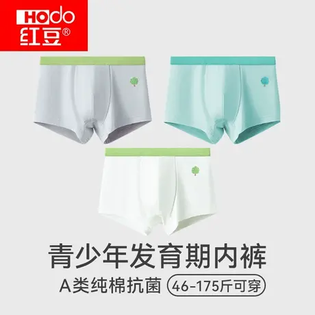 红豆青少年内裤发育期学生初中生高中大童胖男孩纯棉抗菌四角短裤图片