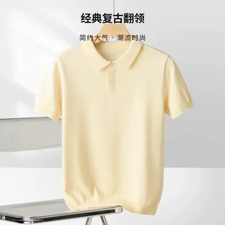 提花肌理短袖男款2025夏新款冰丝网眼透气复古翻领t恤高档Polo衫图片