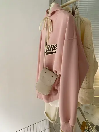 高级感法式加绒连帽套头卫衣女潮ins欧货气质别致慵懒风外套上衣商品大图