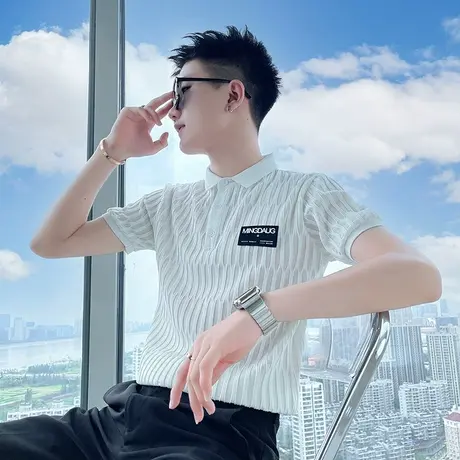 夏季男士t恤polo衫短袖翻领修身半袖潮流半截袖纯色格子浮雕体恤商品大图