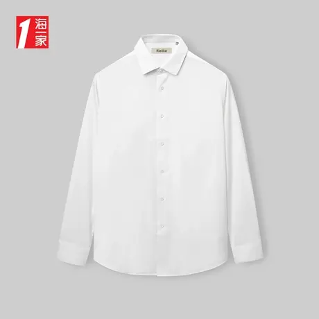 海一家通勤可穿衬衣2024春季新款尖领易打理中男士长袖衬衫图片