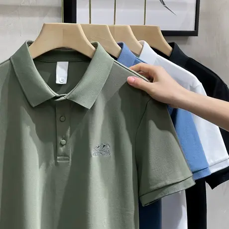 短袖POLO衫男珠地棉2023新款夏季重磅刺绣翻领t恤休闲半袖男上衣商品大图