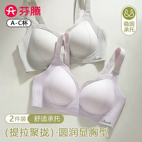 芬腾塑形内衣女舒适提拉小胸聚拢软支撑透气收副乳防下垂文胸罩商品大图