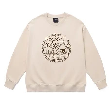 美式重磅加绒卫衣男女同款大码休闲ins潮保暖内搭打底衫2023冬季商品大图