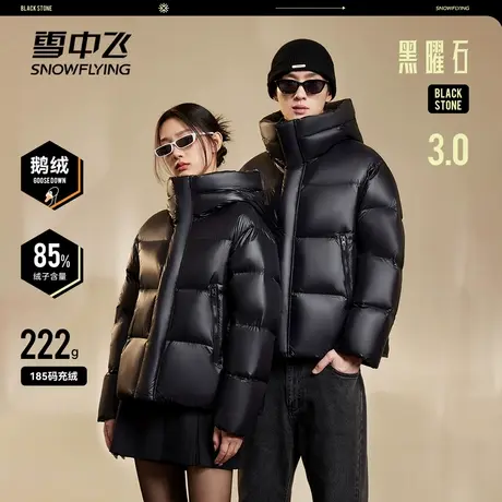 雪中飞25黑曜石3.0冬新款男女情侣短款鹅绒羽绒服连帽加厚重磅酷商品大图