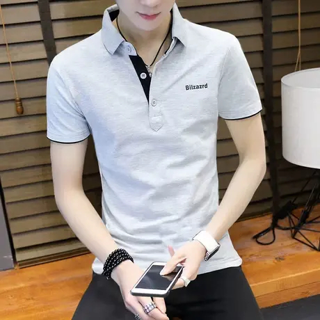 2025夏季新款短袖t恤男士翻领百搭网眼polo衫棉感修身保罗衫衣服图片
