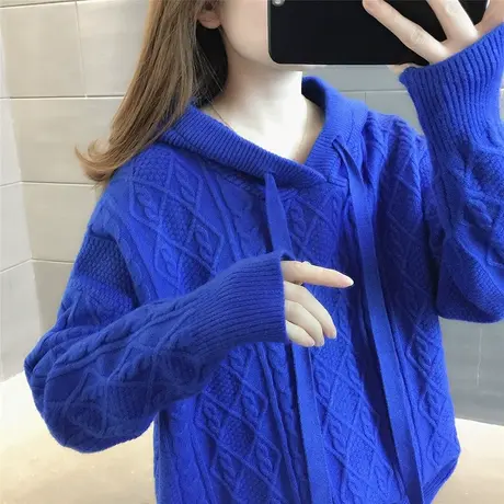 毛衣女2023年新款爆款秋冬上衣宽松外穿内搭洋气针织卫衣女连帽衫图片