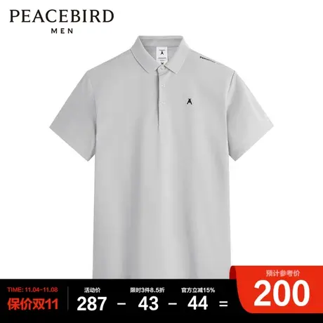 太平鸟男装 Polo衫BYDBC2G12商品大图