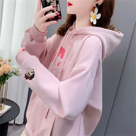 连帽卫衣女士薄款春秋新款小个子宽松洋气炸街减龄百搭上衣ins潮商品大图