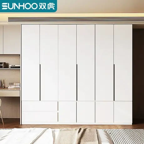 双虎2024新款衣柜卧室家用现代轻奢小户型收纳储物四门衣橱DZ002A商品大图