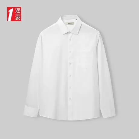 海一家商务正装长衬2024春季日常可穿中年男士长袖衬衫图片