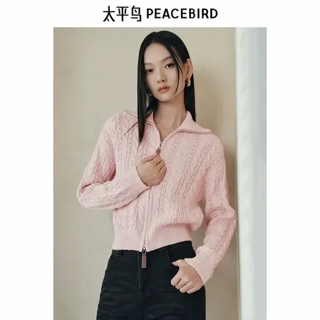 太平鸟 翻领微闪羊毛混纺针织衫25春季新品女士粉色绞花宽松上衣商品大图