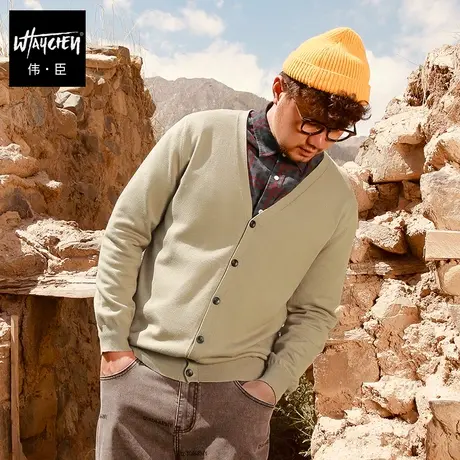 伟臣潮牌大码男装开衫毛衣男胖子加肥加大宽松打底针织衫肥佬外套图片