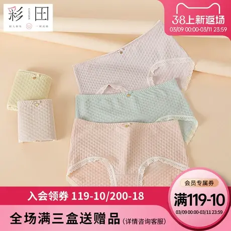 彩田少女内裤甜美棉莫混纺抗菌裆性感蕾丝边透气舒适女生三角内裤图片