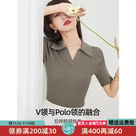 逸阳polo领短袖t恤女2023夏薄款v领打底桑蚕丝半袖冰丝凉感上衣商品大图