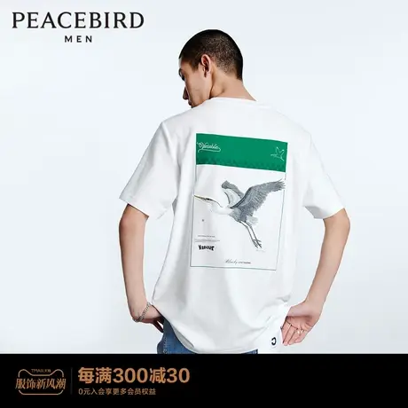 【商场同款】太平鸟男装刺绣短袖T恤夏季新款圆领体恤B1DAD2322图片