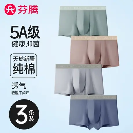 芬腾男士内裤纯棉四角裤衩男生抗菌裆透气全棉平角短裤头男款大码商品大图