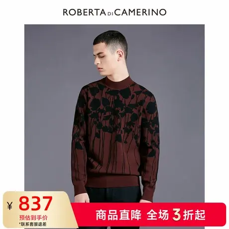 ROBERTA诺贝达2022年秋季新款男装羊毛设计感半高领针织衫毛衫商品大图