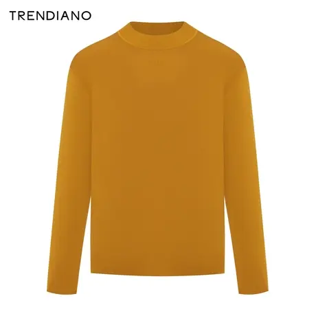 TRENDIANO官方细腻肌理小高领简约百搭针织衫男2023新款冬季商品大图
